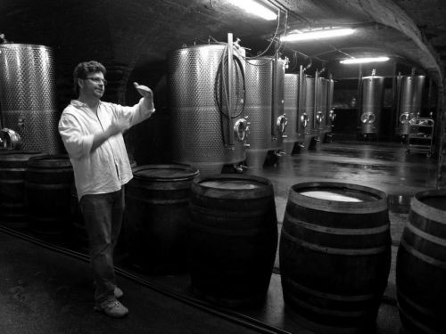files/images/winemakers/germany/immich-batterieberg/Gernot_Kollmann.jpg