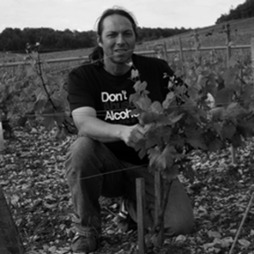 files/images/winemakers/france/domaine-philippe-goulley-burgundy/Philippe Goulley_sq.png